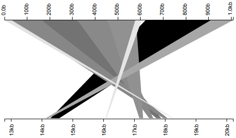 The wrong way to visualize BLAST hits to the reverse complement.