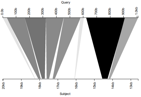 The right way to visualize BLAST hits to the reverse complement