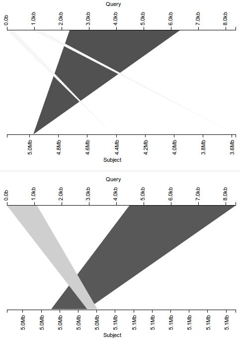 Properly separating hits to each strand of the subject sequence.