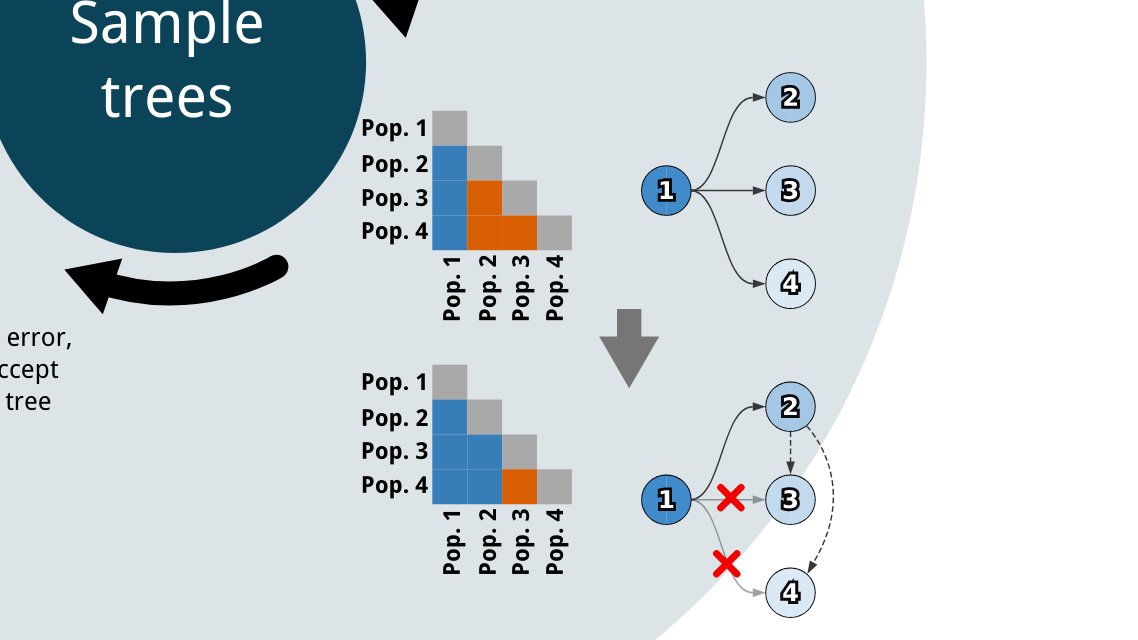 Pairtree: Fast cancer phylogeny reconstruction using multiple cancer samples
