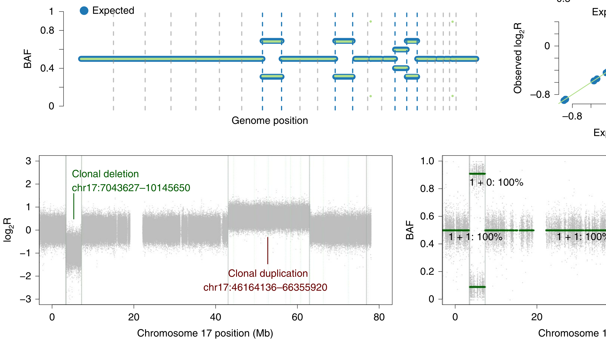 A community effort to create standards for evaluating tumor subclonal reconstruction