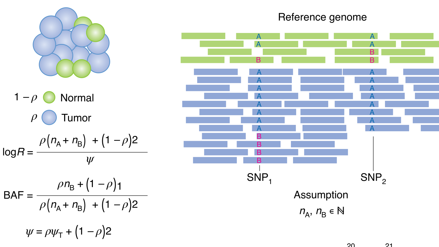 A practical guide to cancer subclonal reconstruction from DNA sequencing